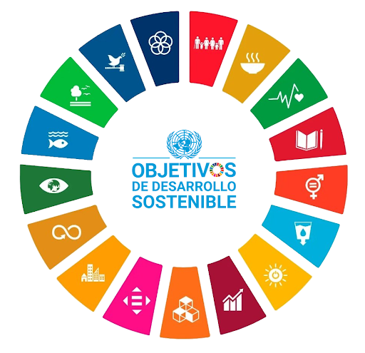 Alineación del Plan Nacional de Desarrollo 2019-2024 con los objetivos globales de movilidad sustentable